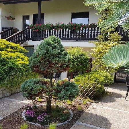 Apartament Na Wolanach Поляниця-Здруй Екстер'єр фото